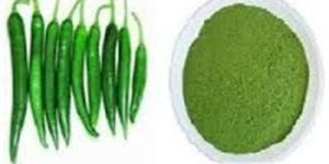Green Chilli Powder