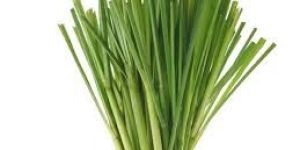 Lemongrass