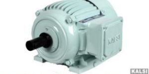 Squirrel Cage Induction Motors