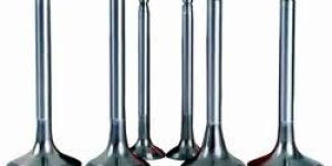 Diesel Engine Valves