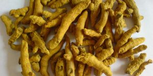 Turmeric Whole Finger
