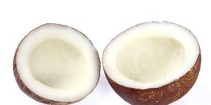 Coconut Copra