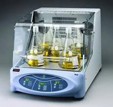 Incubating Orbital Shaker