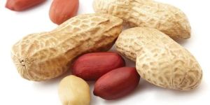 Ground Nut