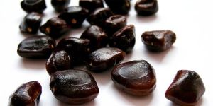 Tamarind Seed