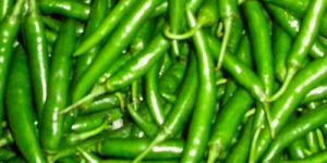 Fresh Green Chilli