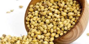 Coriander Seeds