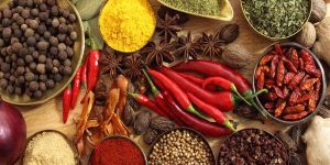 Indian Spices