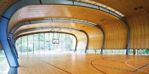 Sports Vinyl Flooring