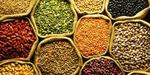 Indian Pulses