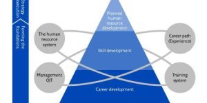 Building Information Modelling (BIM) Implementation Services