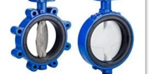 Wafer Body Plug Body