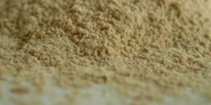 Organic Psyllium