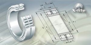 Full Complement Cylindrical Roller Bearings