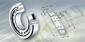 Tapered Roller Bearings