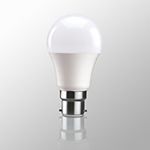 LED PA Bulb