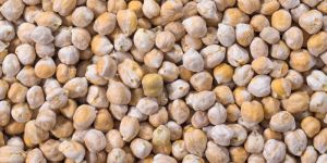 Chick Peas
