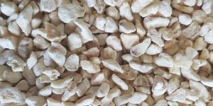 Freeze Dried Fruit Powder