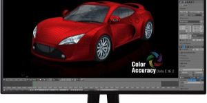 Professional LED Monitor