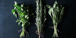 Herb Stems
