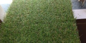 Synthetic Grass Lawn