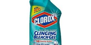 Clorox Toilet Cleaners