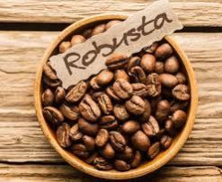Robusta Coffee
