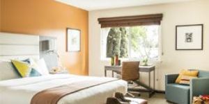 Hotel Bookings Services