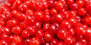 Canned Cherry without Stem