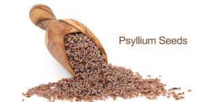 PSYLLIUM SEEDS (ISABGOL)