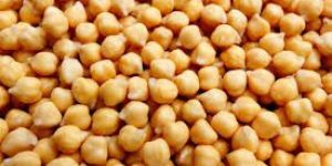 White Chickpeas