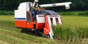 Rice Combine Harvester