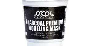 Professional Dust Mask