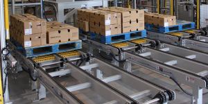Palletized Conveyors