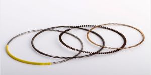 Piston Ring Spring