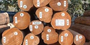 Burma Teak Logs Wooden