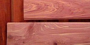 Red Sider / Lumbers wooden