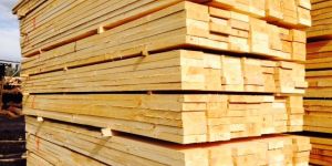 Southern Yellow Pine KDHT Lumbers Logs Wooden