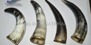 Drinking Horn