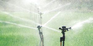 Landscape Irrigation System