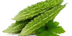 Fresh Bitter Gourd