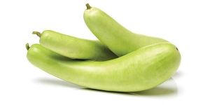 Fresh Bottle Gourd