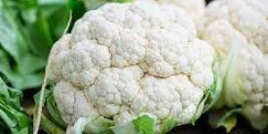 Fresh Cauliflower