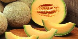 Fresh Muskmelon