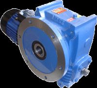 Worm Geared Motor