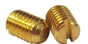 Brass Grub Screw