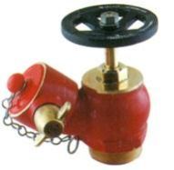 Oblique Screwed Valve