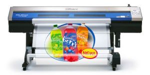 Vinyl Printing Services