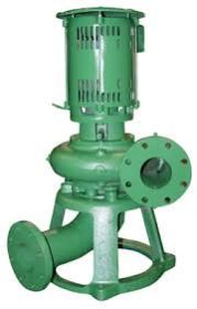 Dry Pit Pumps