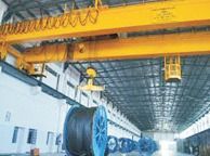 EOT Cranes